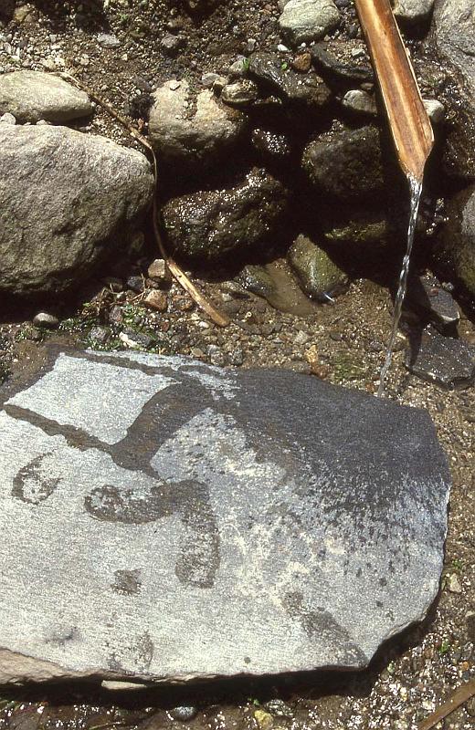 WT 1000 148-27 Nepal Water Spout.jpg